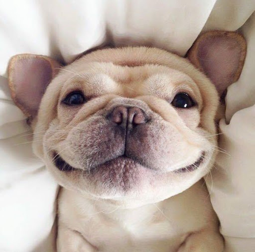 Cute Pic